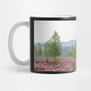 Heathland, morning mist, heather bloom, Niederhaverbeck Mug